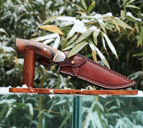 ���� ����.JPG